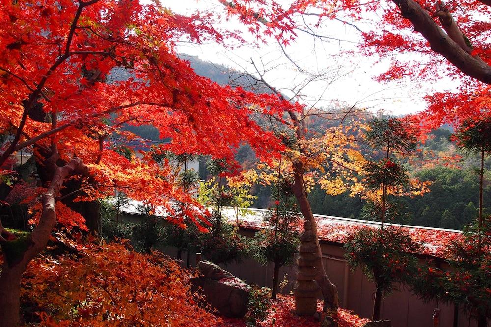 Hotel Ryokan Nenrinbo Kyōto Exterior foto